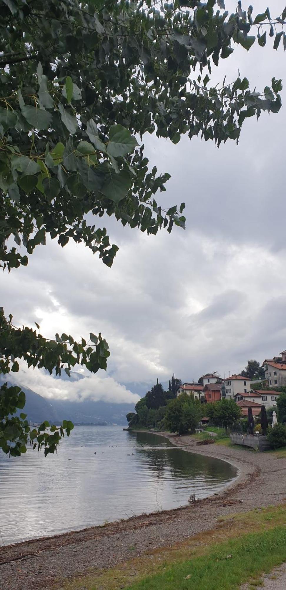 Residence Laguna Beach Pianello Del Lario Екстериор снимка